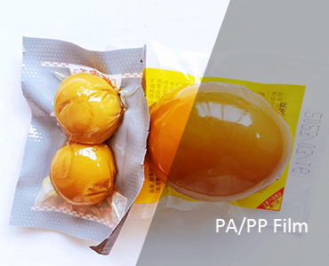 PA-PP-1