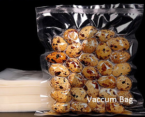 Vaccum Bag-3