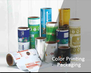 Color Printing Packaging-1