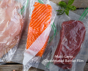 Multi-layer Co-extruded Film